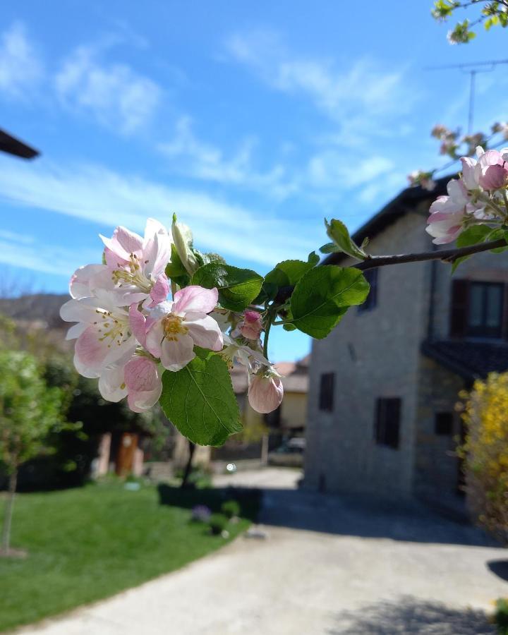 La Pomella Villa Ponte Nizza Eksteriør billede