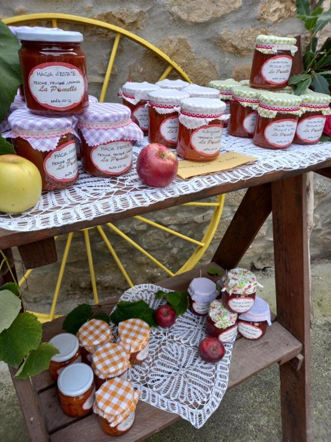 La Pomella Villa Ponte Nizza Eksteriør billede